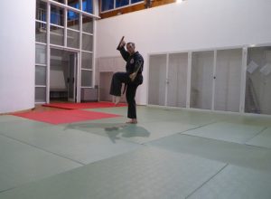 P1030003