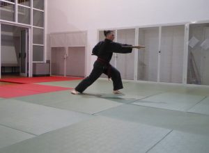 P1030005