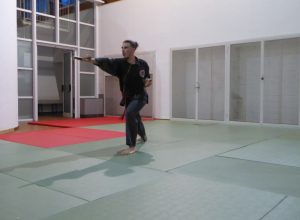 P1030006