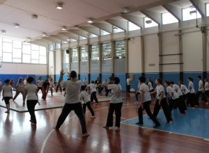Festa APD Ren 24.05.2015