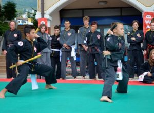 Qwan Ki Do - Festa dello Sport 2013- Foto Nicola (29)