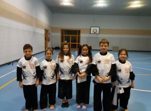 FOJV3029