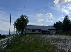 IMG_3354