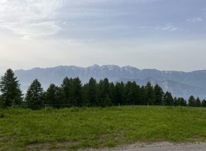 IMG_3374