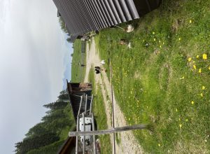 IMG_3377