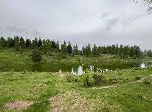 IMG_3382