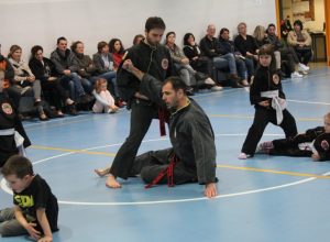 IMG_7252