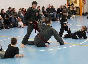 IMG_7253