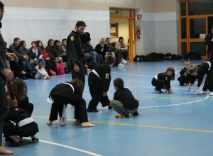 IMG_7261